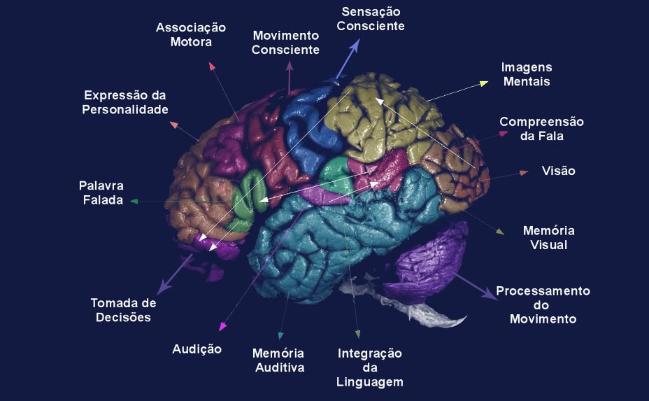 Básico em Avaliação Neuropsicológica 